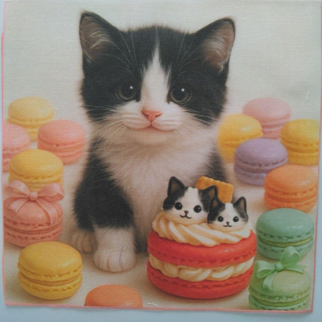 ☆受付☆猫