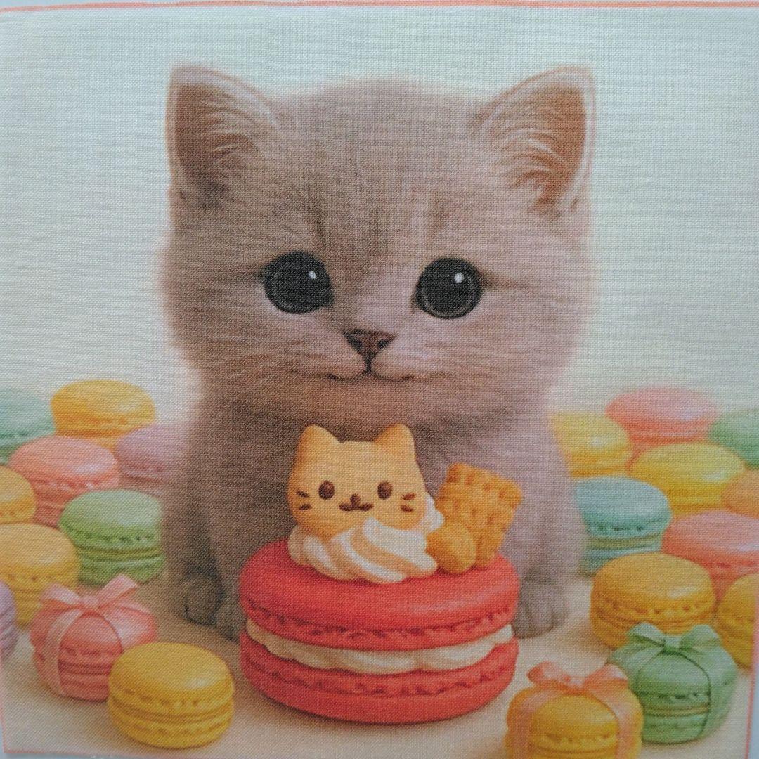 ☆受付☆猫