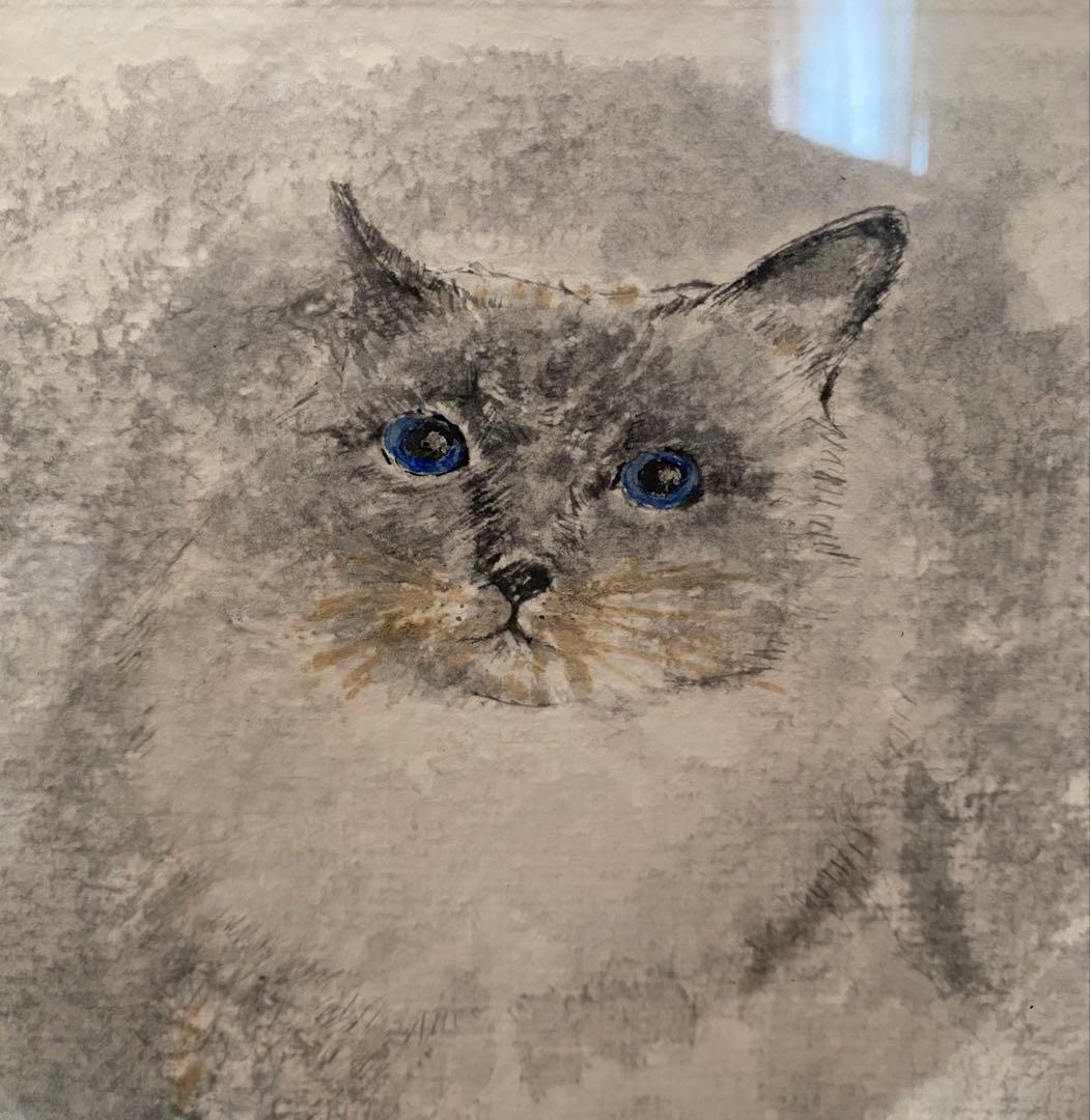 水墨画『青い目の猫』