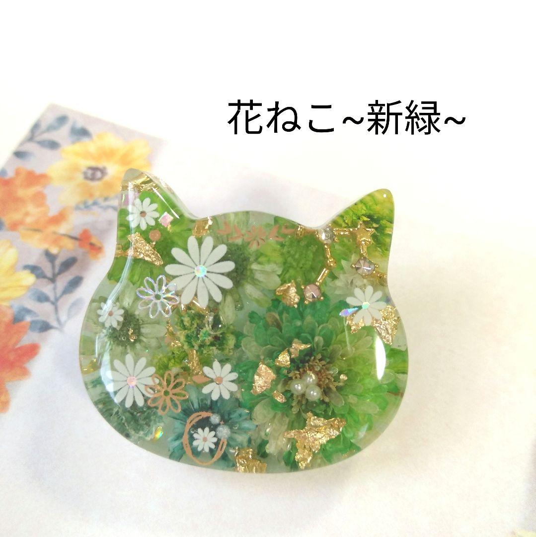 【花ねこ~芽吹き~】レジンヘアゴム　ブローチ　ペンダント　猫　　~3/21まで