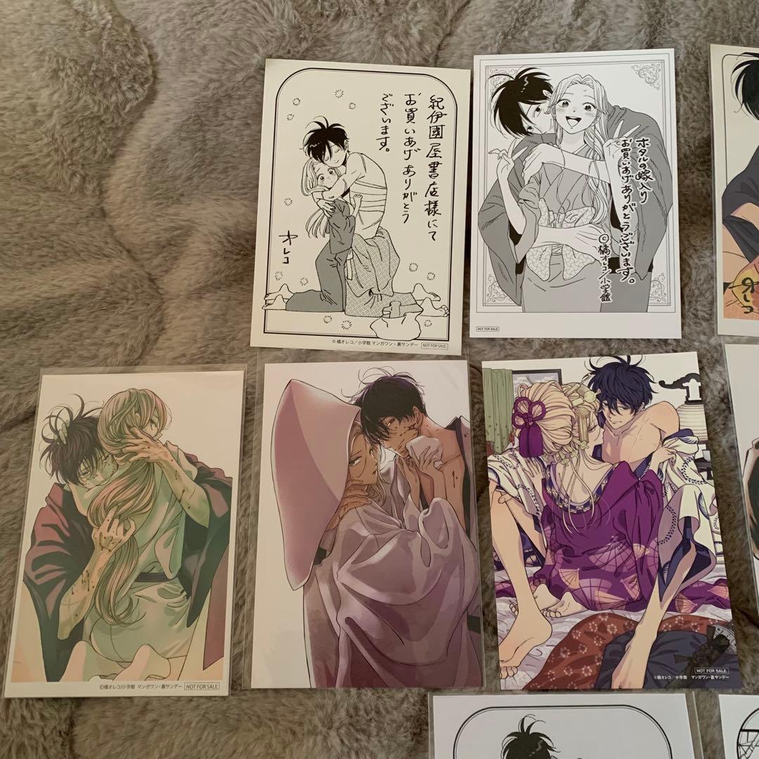 ホタルの嫁入り　特典　アニメイト　書店　27枚セット　後藤進平　桐ヶ谷紗都子