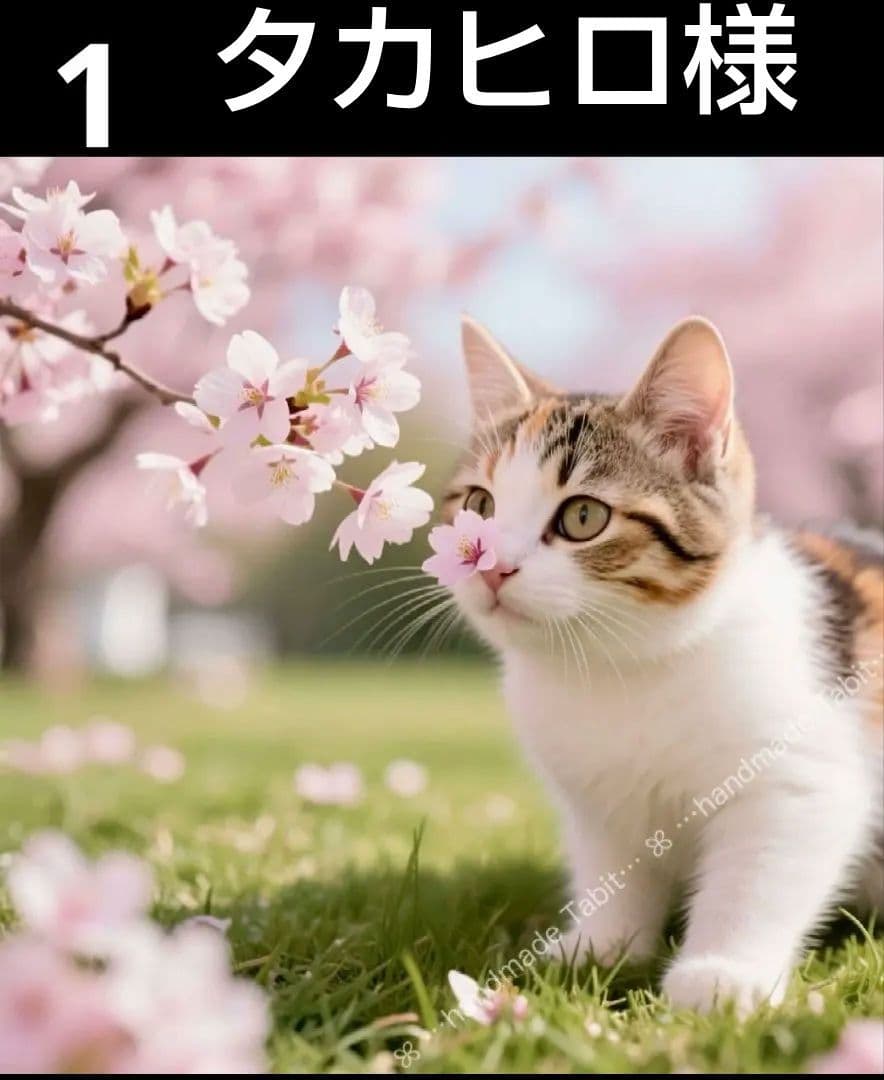 オーダーページ　ハンカチ春の香り　ネコB柄　ハンドメイド3/18