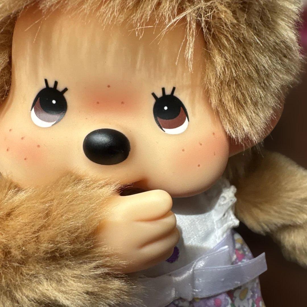 池田エライザプロデュース CanCam×モンチッチコラボ Mサイズ キャンキャン