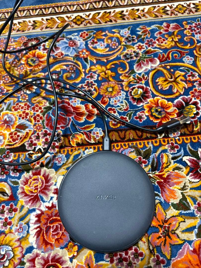 iPhone SE 第2世代 256GB ジャンク ホームボタン故障充電端子不良