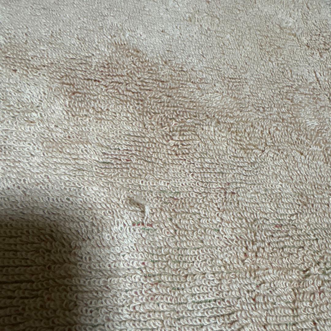 藤井風 ベジバスタオル　パナスタ