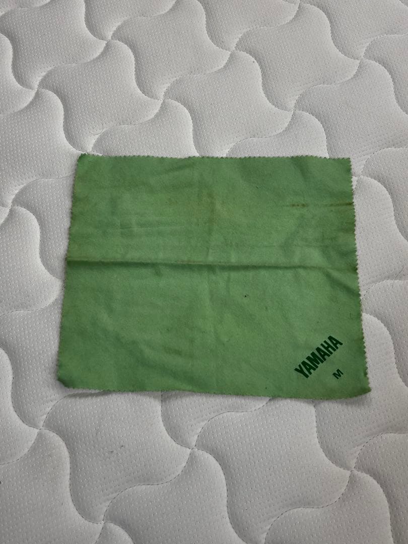 YAMAHA SV-100 サイレントバイオリン