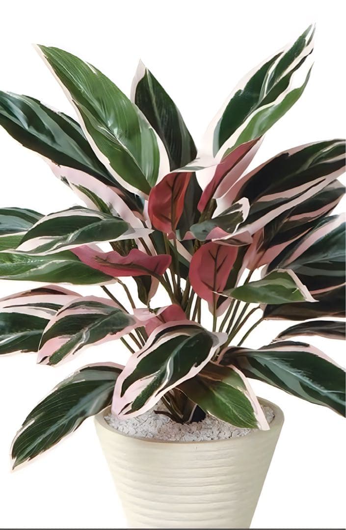 光触媒　人工観葉植物　ウォールグリーン　フェイクグリーン　トリオスター