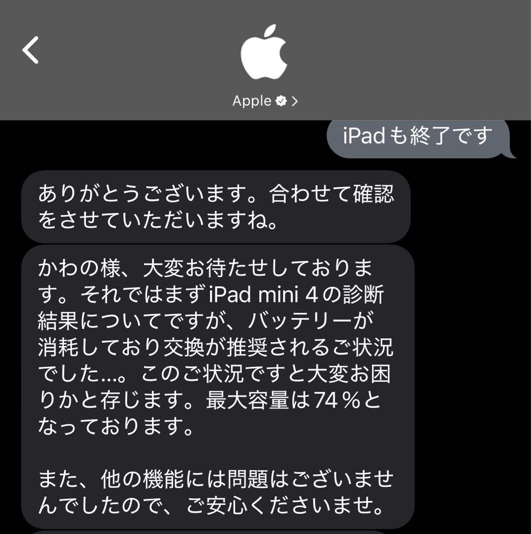 iPad mini 4 Wi-Fi+Cellular 16GB　MK702J/A