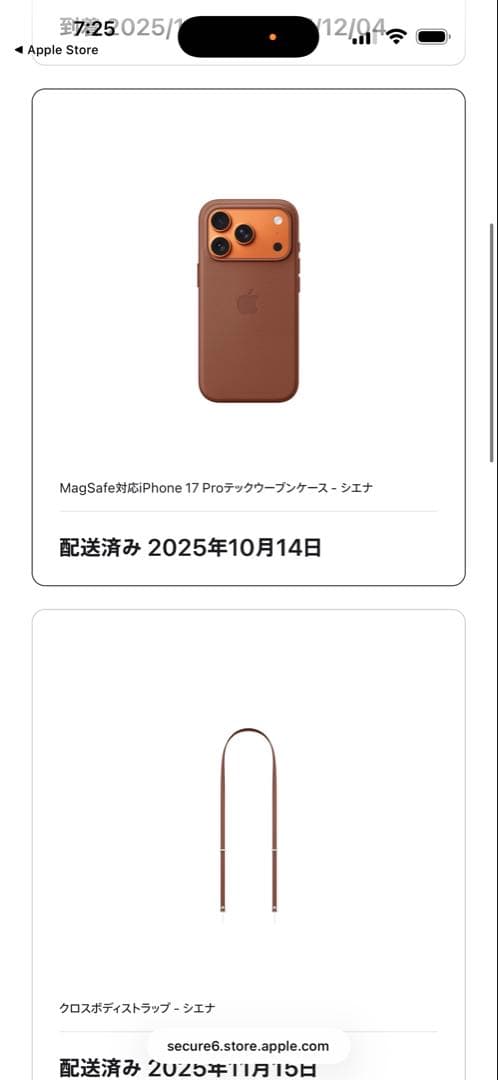 iPhone 17 Pro テックウーブンケース　シエナ