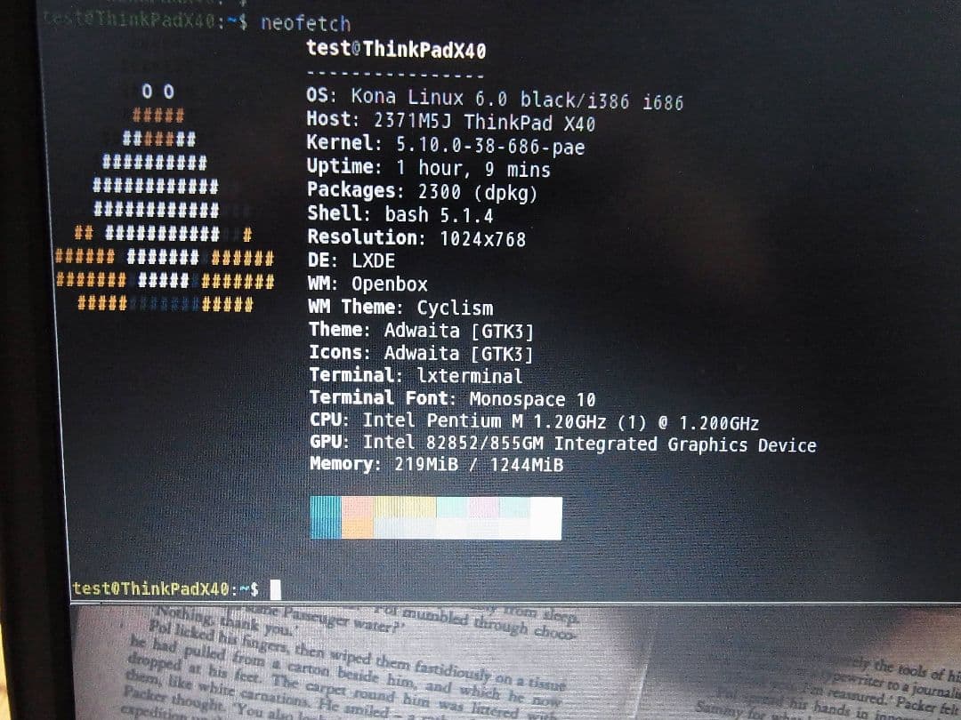[動作確認済]ThinkPadX40 RunCoreSSD換装済