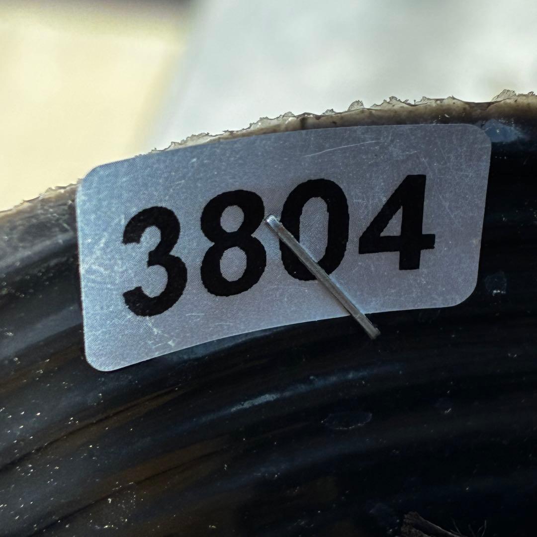 3804☘️1年間管理株☘️⭐️超多弁⭐️スプレーベイン⭐️野田園芸⭐️