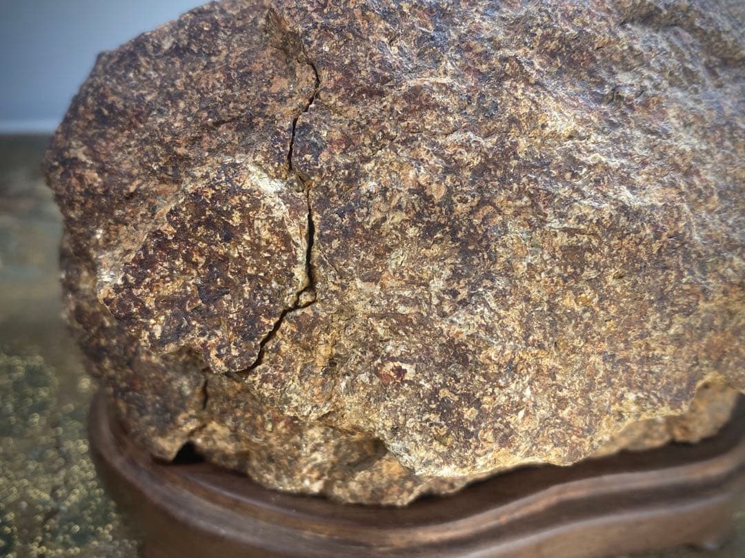 6761 鞍馬石 茅舎石 ウブ 銘 草庵 水石 盆栽 盆石