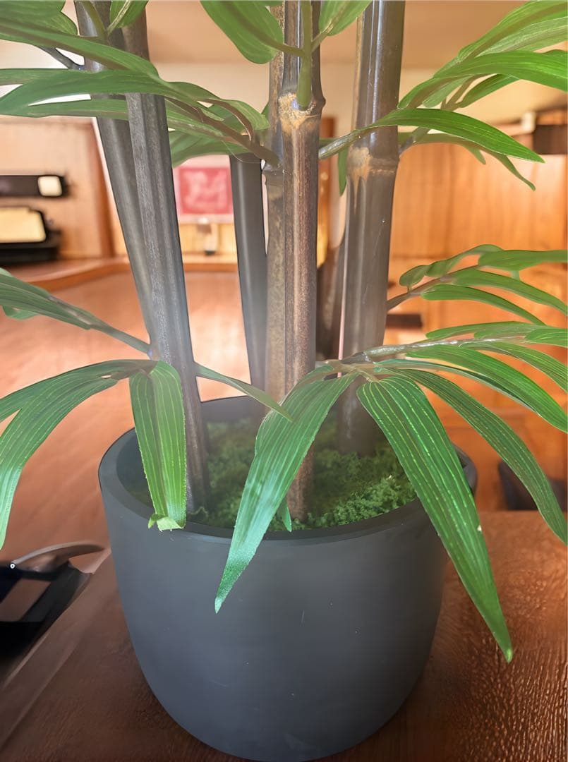 光触媒　人工観葉植物　ウォールグリーン　フェイクグリーン　黒竹7342