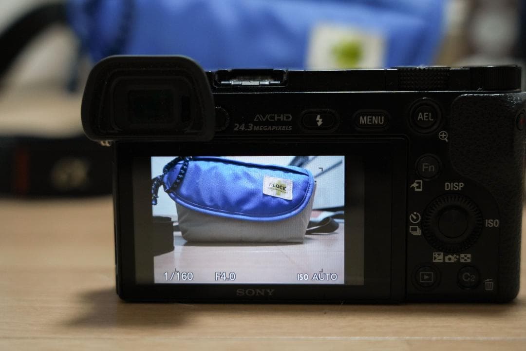 SONY α6000 ダブルズーム