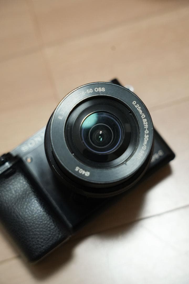 SONY α6000 ダブルズーム