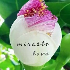 ♡ハンドメイド デザイン ピアス アクセサリー 小粒 野いちご ピンク可憐大人