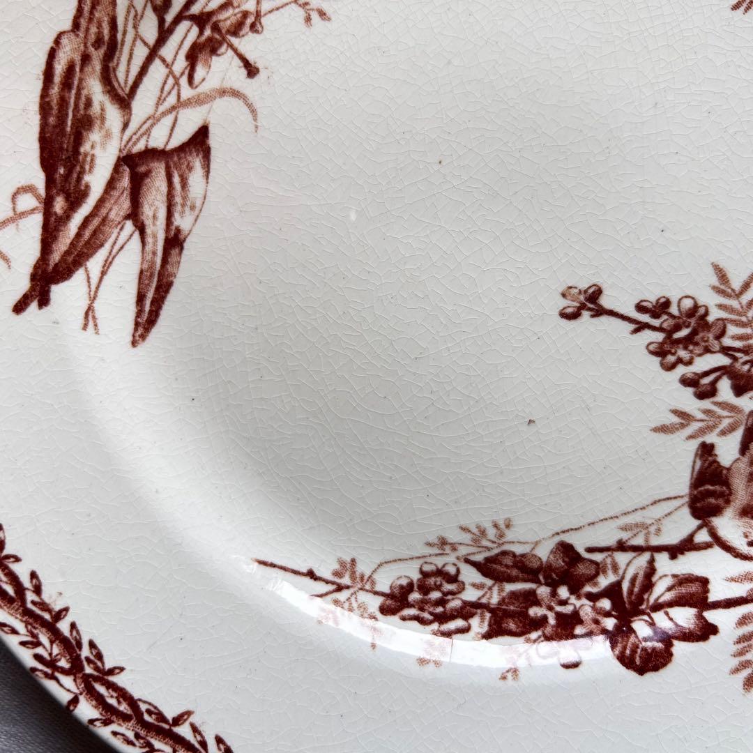 Bordeaux 　セピア　ブラウン　プレートb フランス　小鳥　ボタニカル