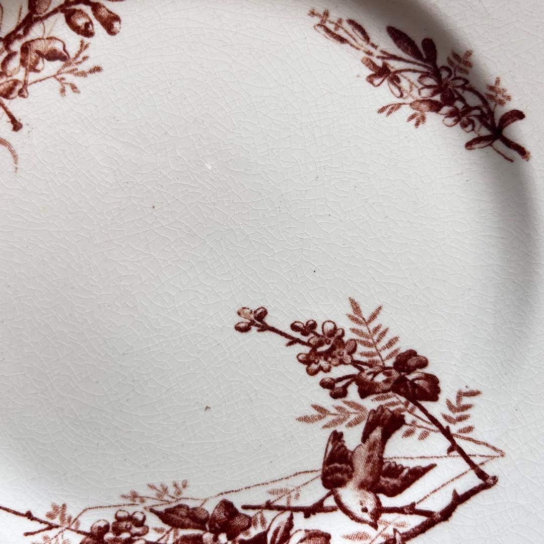 Bordeaux 　セピア　ブラウン　プレートb フランス　小鳥　ボタニカル