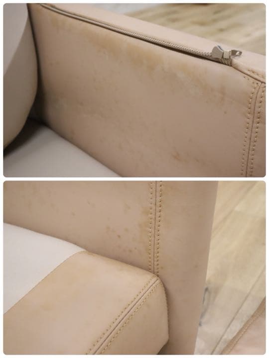 gmch217A ○ 希少 ARTIFEX AUSTRALIA Camille