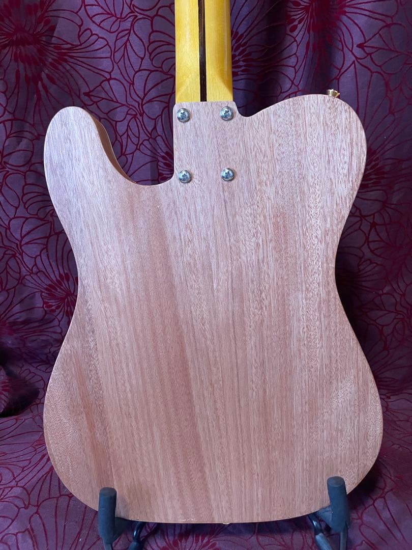 テレキャスタータイプ/シンライン