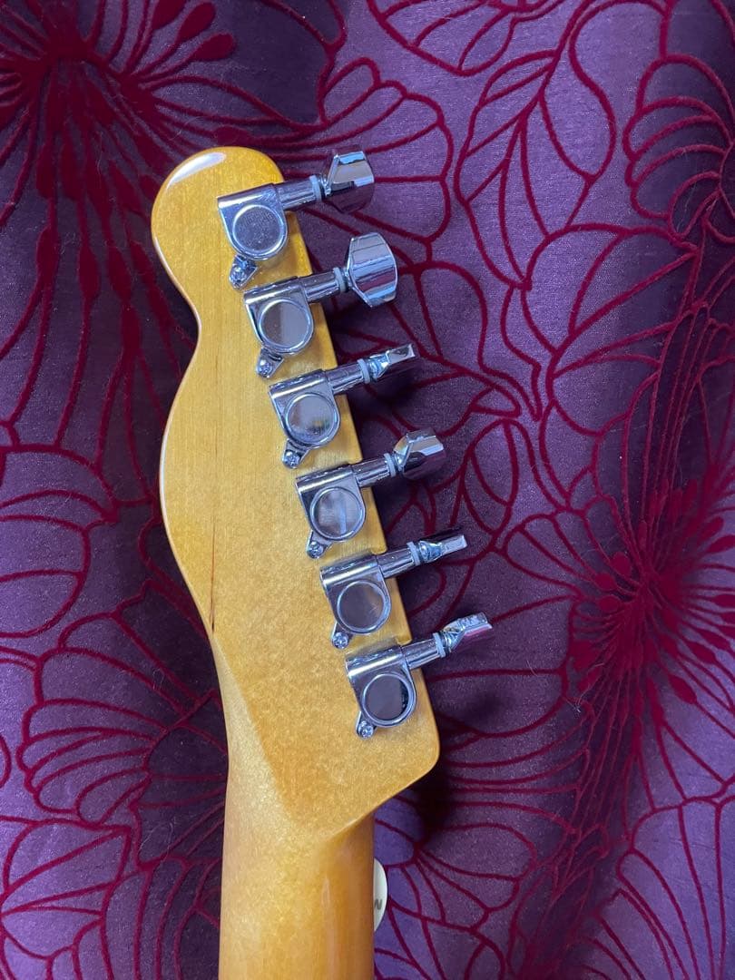 テレキャスタータイプ/シンライン