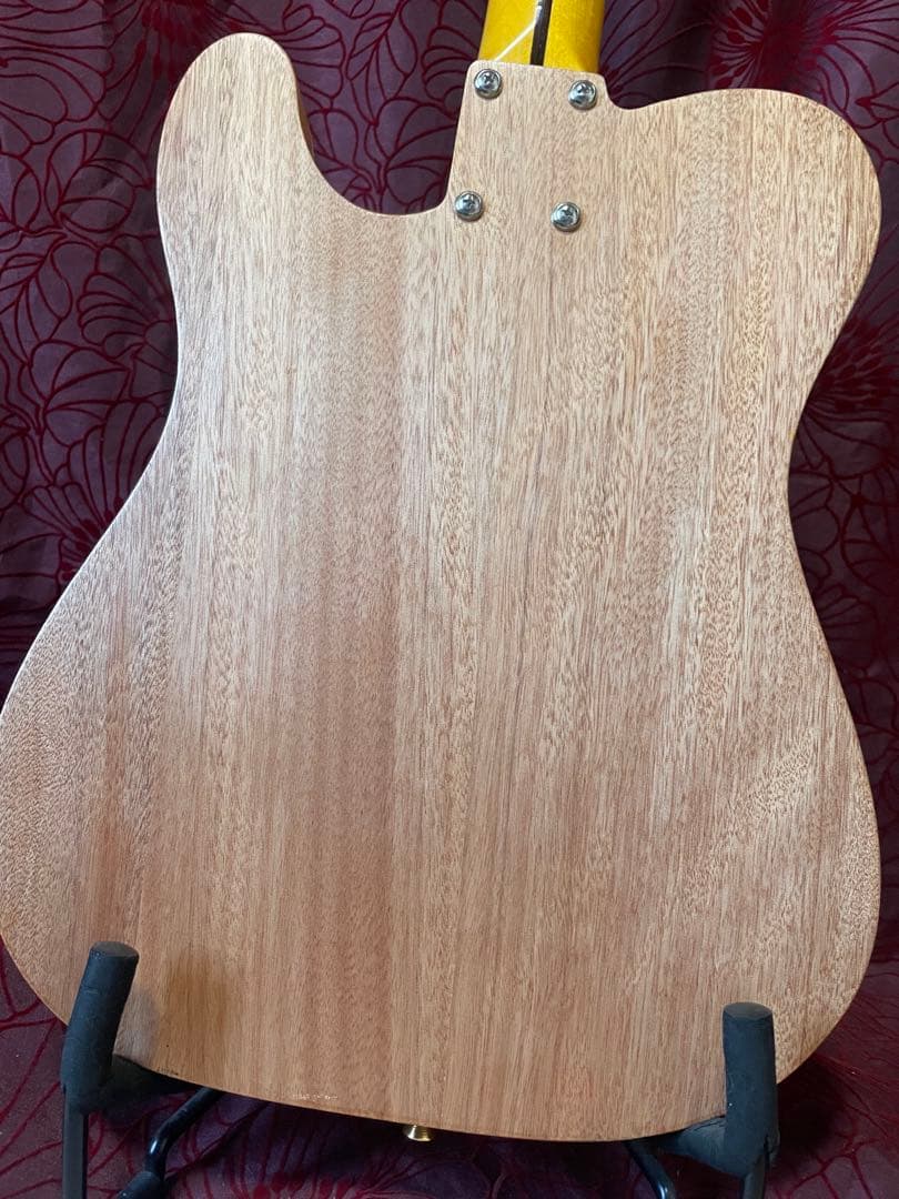 テレキャスタータイプ/シンライン