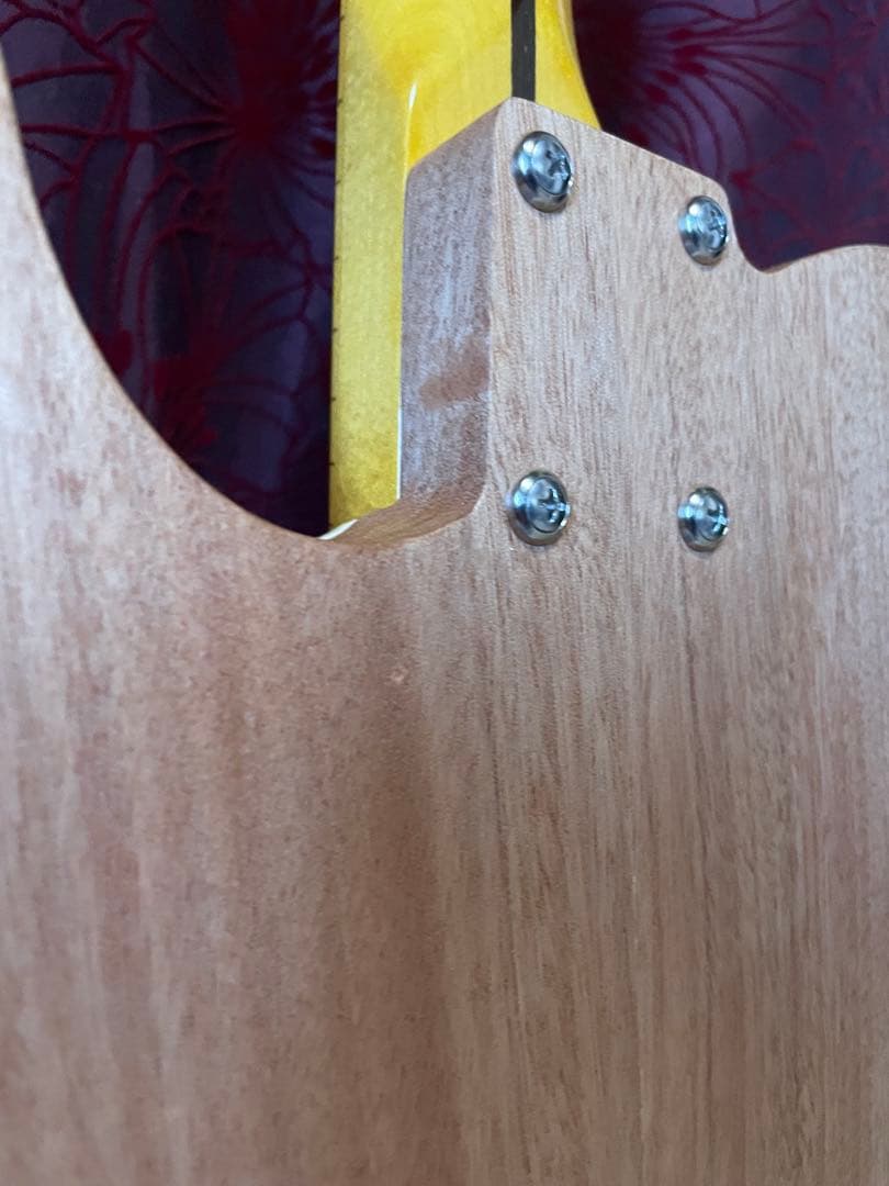 テレキャスタータイプ/シンライン