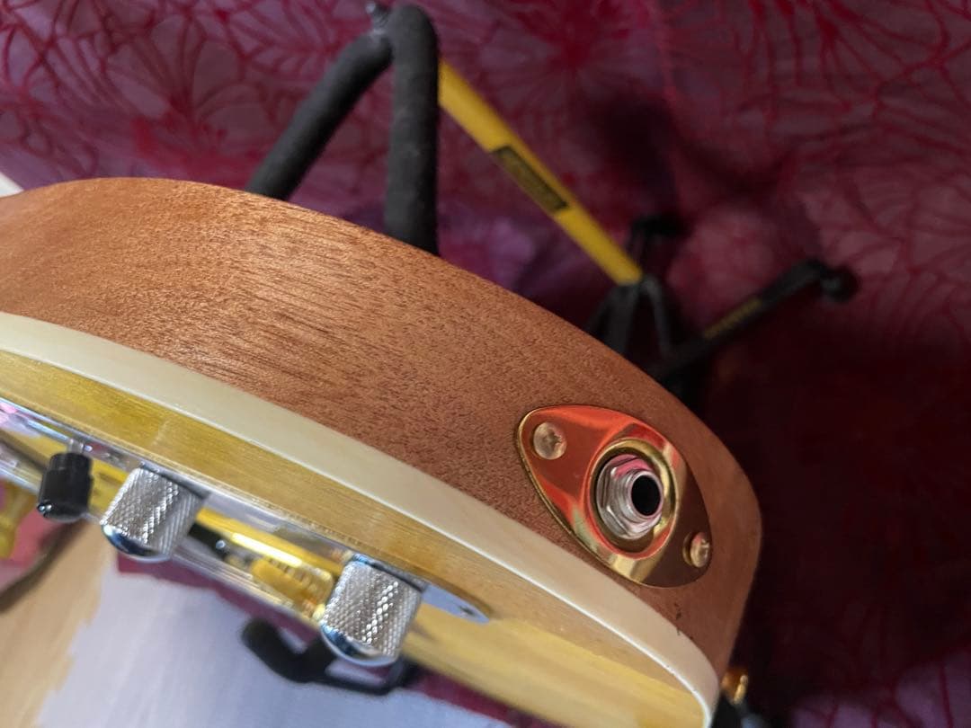 テレキャスタータイプ/シンライン