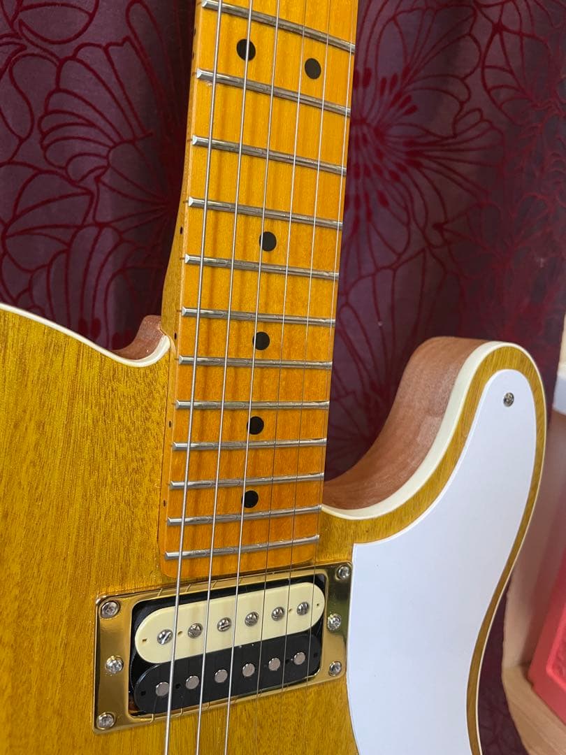 テレキャスタータイプ/シンライン