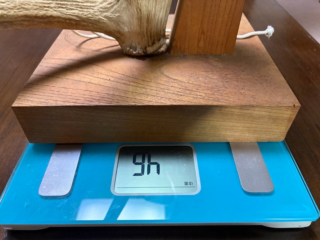 ニホンジカ 落ち角 約70cm 台座付 4.6kg 鹿の角 日本鹿