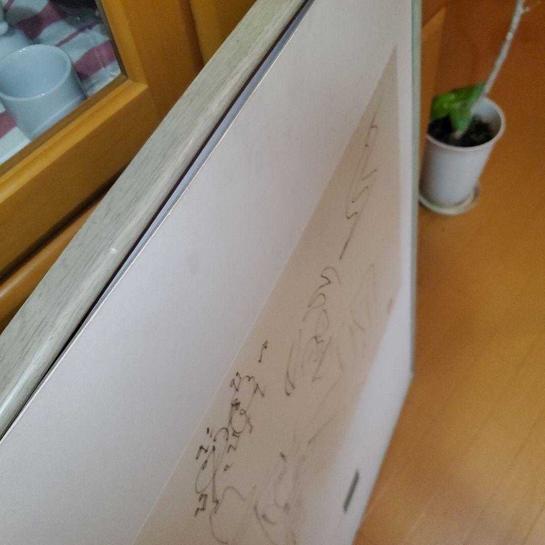 ジョンレノン、リトグラフ線画 鉛筆画 人物と植物