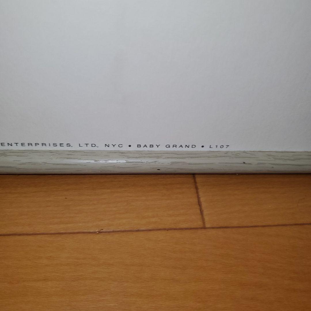 ジョンレノン、リトグラフ線画 鉛筆画 人物と植物