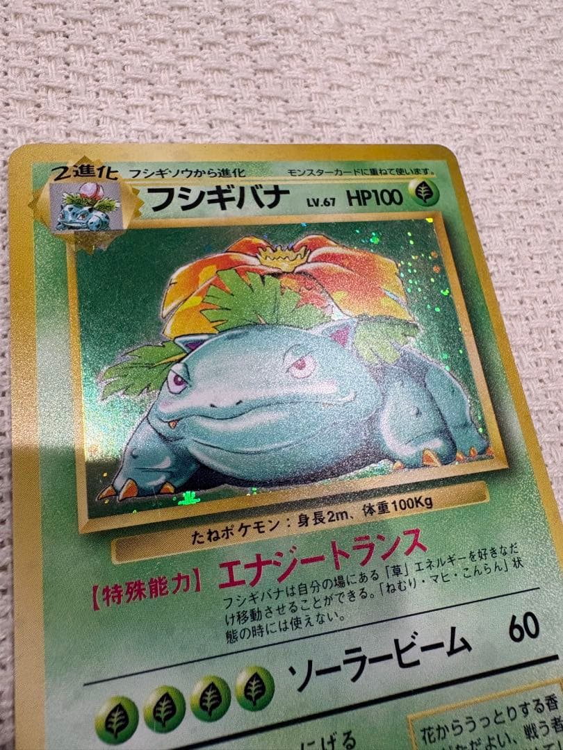 【美品】フシギバナ ★ 第1弾拡張パック　旧裏