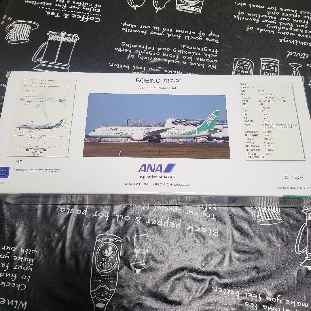 ANAグリーンジェット787-9