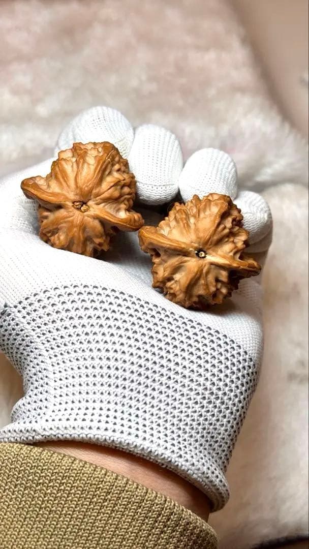 2025新商品 40大耳朵图图6