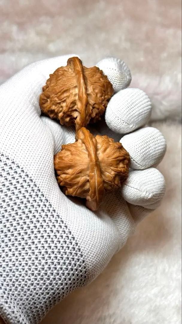 2025新商品 40大耳朵图图6