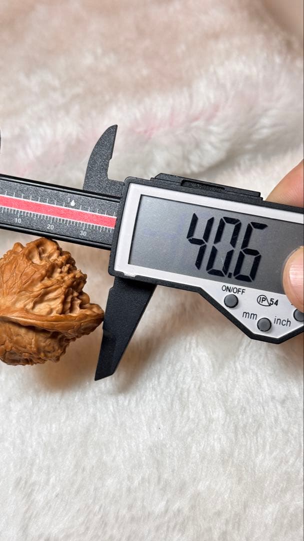 2025新商品 40大耳朵图图6