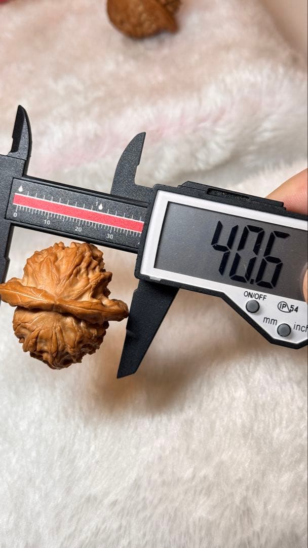 2025新商品 40大耳朵图图6