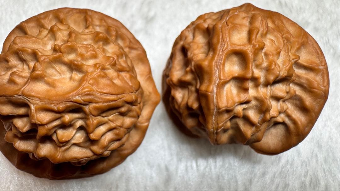 2025新商品 40大耳朵图图6