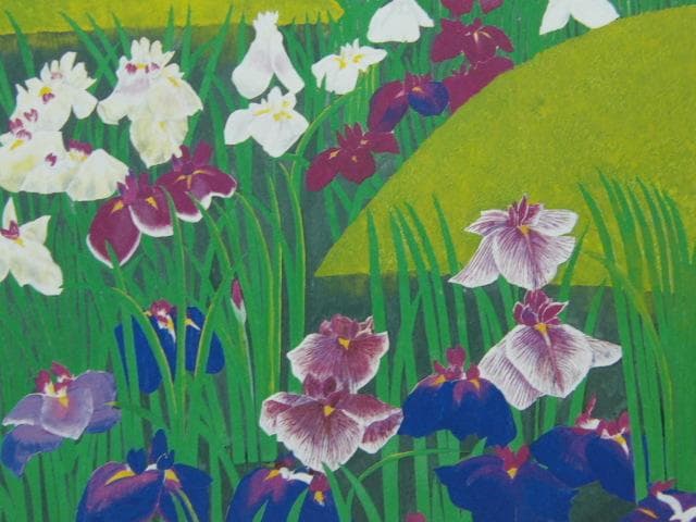 濵田台児 、【花菖蒲】、新品高級額 額装付、日本画 希少画集画 状態良好