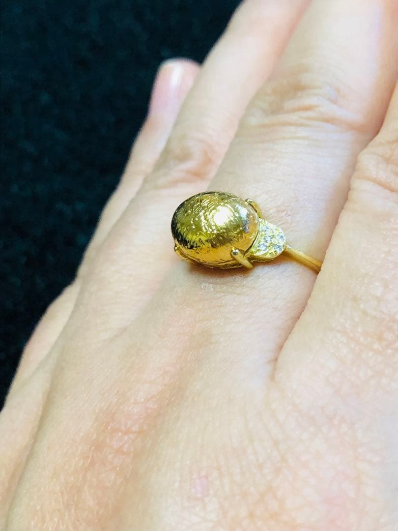 【特価】希少 大粒 メテオライト隕石໒꒱横向きムーンパヴェ໒꒱フリーサイズリング