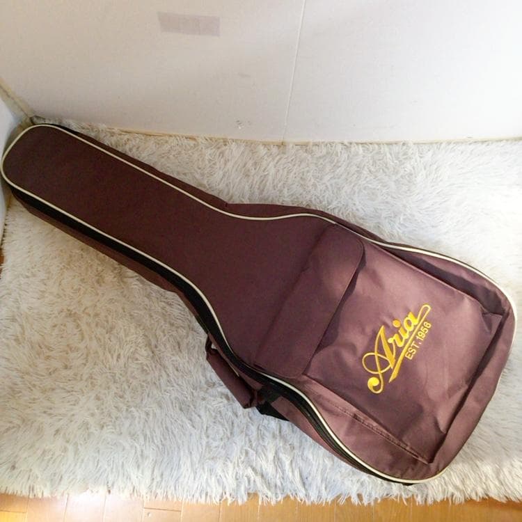 Aria FET-CST SBL エレアコ アコースティックギター 木目 アリア