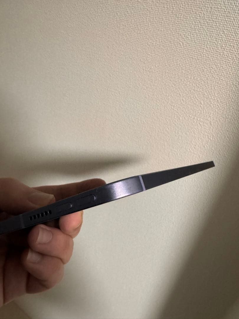 iPad mini 6世代 64GB Cellular AppleCare+