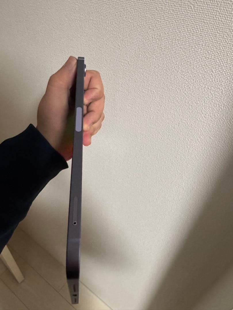 iPad mini 6世代 64GB Cellular AppleCare+