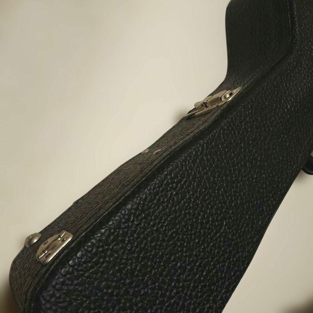 Martin Custom Shop CTM 000 OM用 刺繍ハードケース