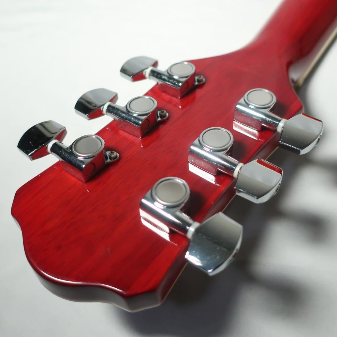 Sepia Crue EAW-180/WRS エレアコ ギター ケース付