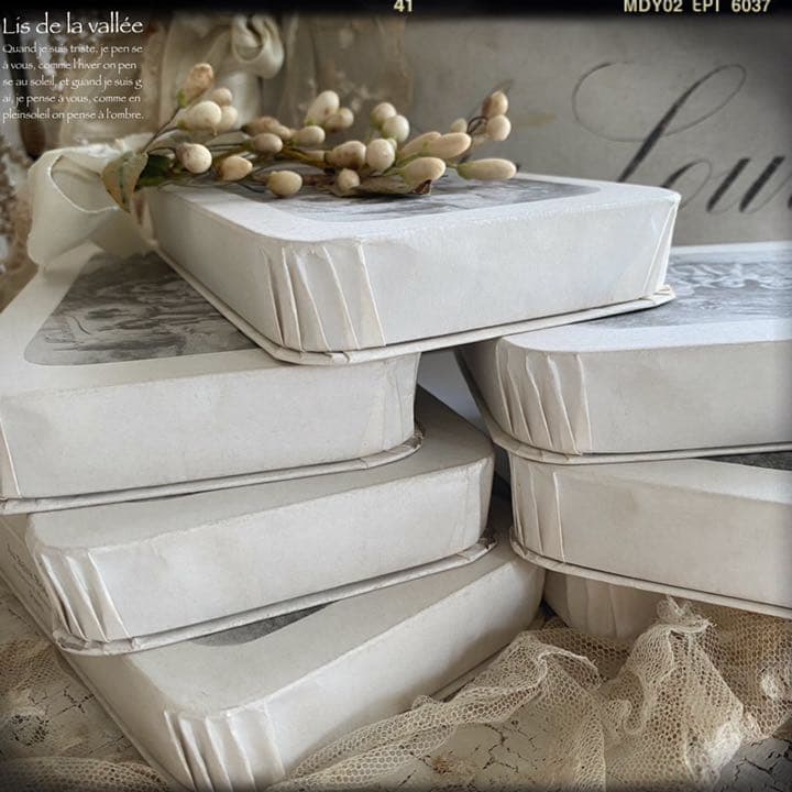 【再販未定】la boite a dragée ドラジェボックス⋆**✚⃞ྉ