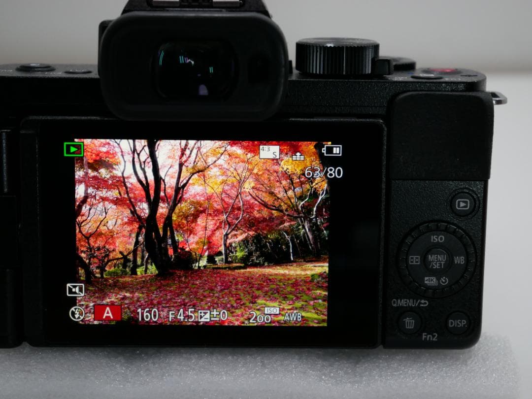★★美品・完動品★パナソニックLUMIX DC-G100とレンズ２本付★★