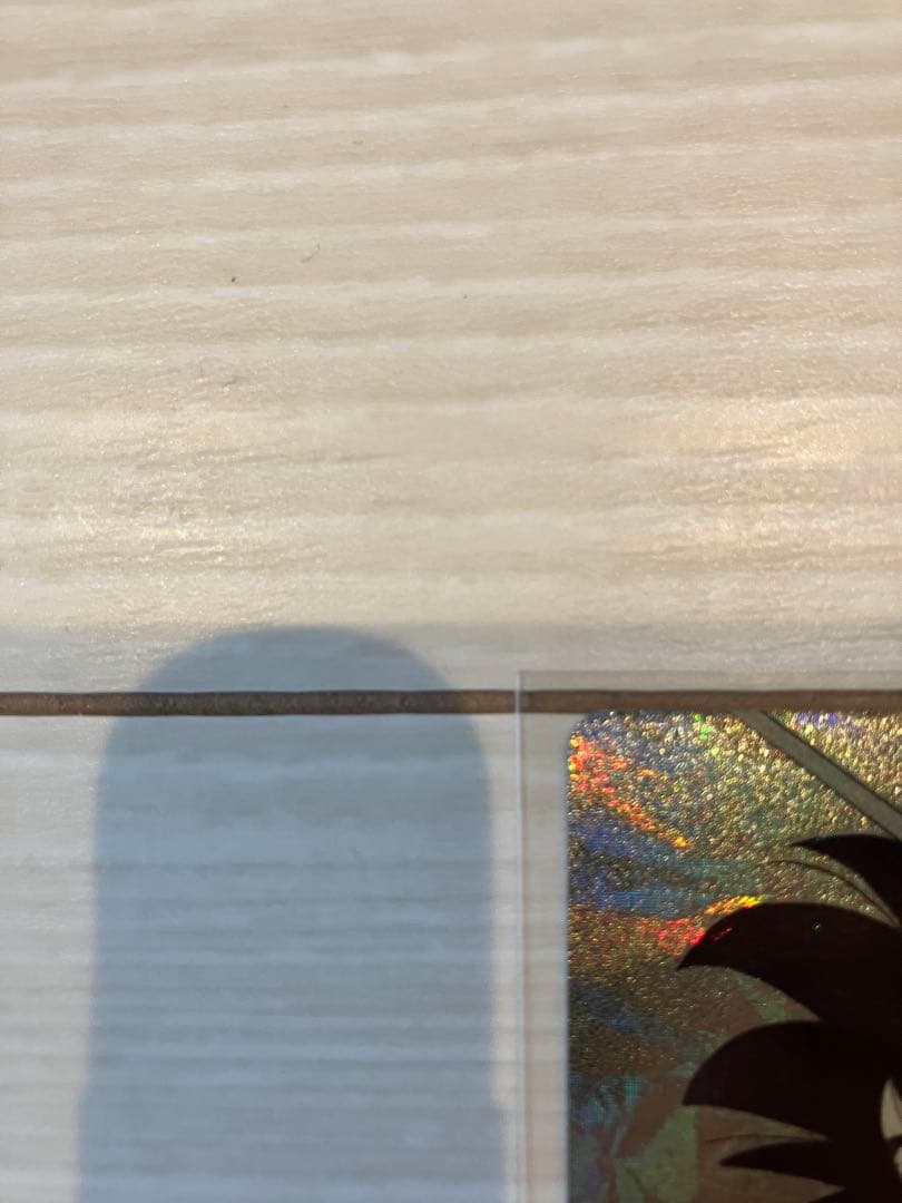 【にゃんこ】ドラゴンボール　スーパーダイバーズ　孫悟空　少年期　パラレル