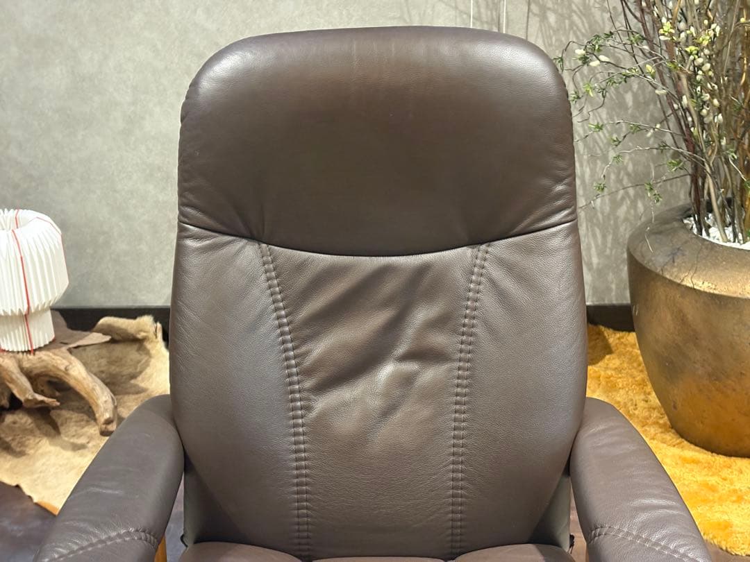 ①エコーネス パーソナルソファ オットマン ストレスレスチェア　IZZ